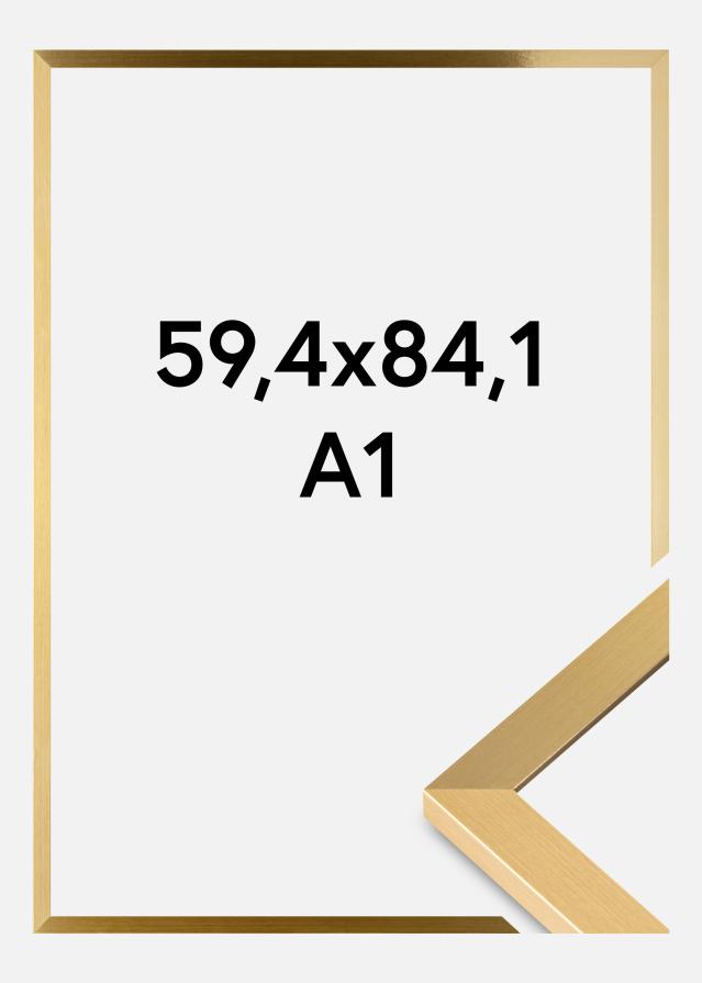 Rahmen Selection Acrylglas Gold 59,4x84,1 cm (A1)
