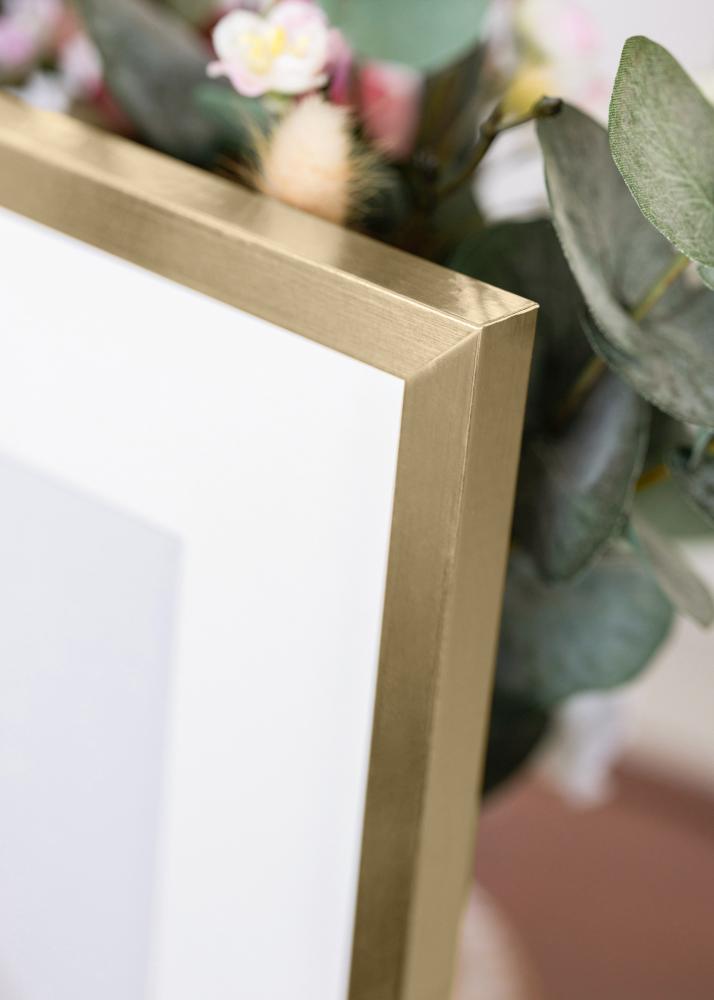 Rahmen Trendy Acrylglas Gold 21x29,7 cm (A4)