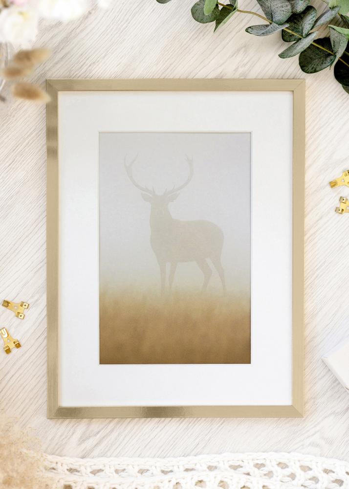 Rahmen Trendy Acrylglas Gold 21x29,7 cm (A4)