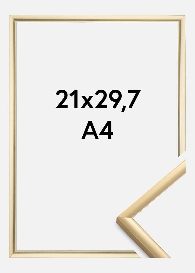 Rahmen New Lifestyle Acrylglas Gold 21x29,7 cm (A4)