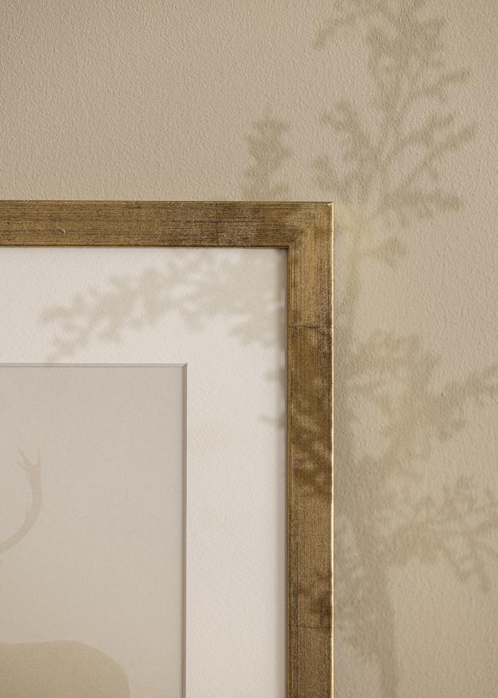 Rahmen Stilren Acrylglas Gold 30x40 cm