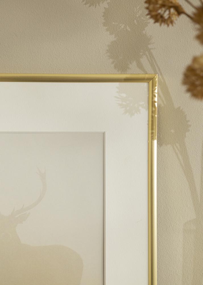 Rahmen New Lifestyle Acrylglas Gold 21x29,7 cm (A4)