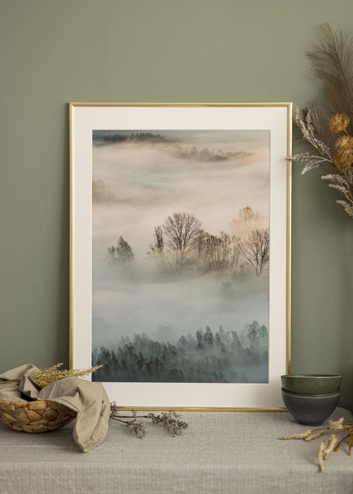 Rahmen New Lifestyle Acrylglas Gold 21x29,7 cm (A4)