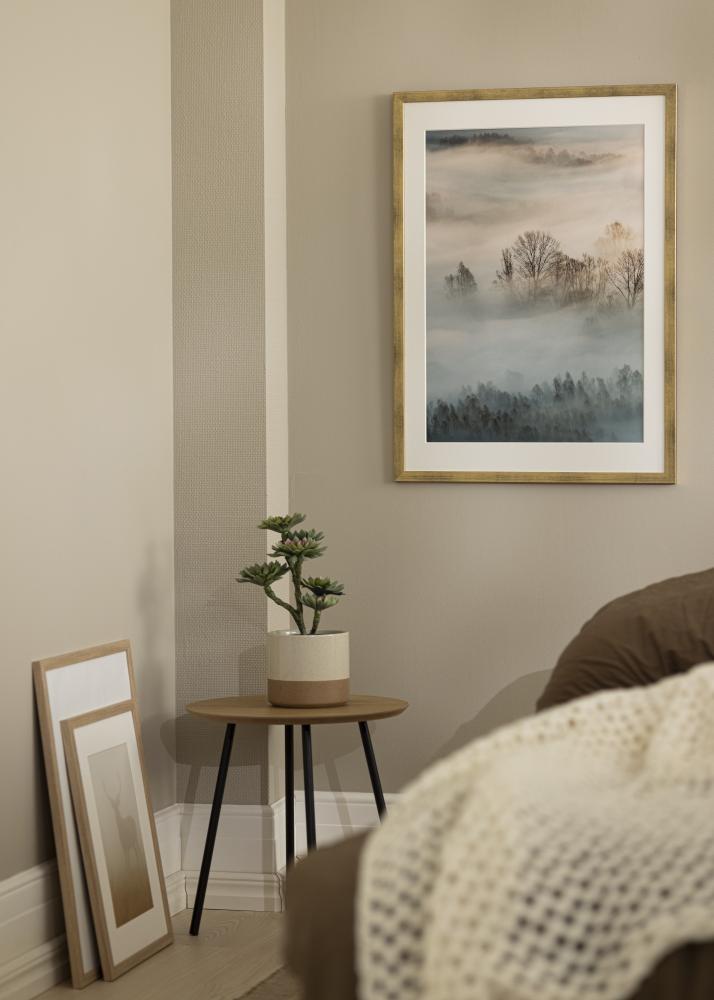 Rahmen Stilren Acrylglas Gold 30x40 cm