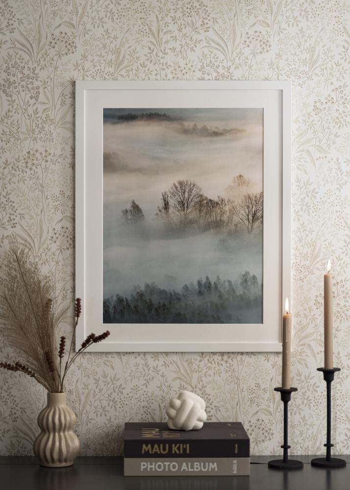 Rahmen Trendline Acrylglas Weiß 30x60 cm