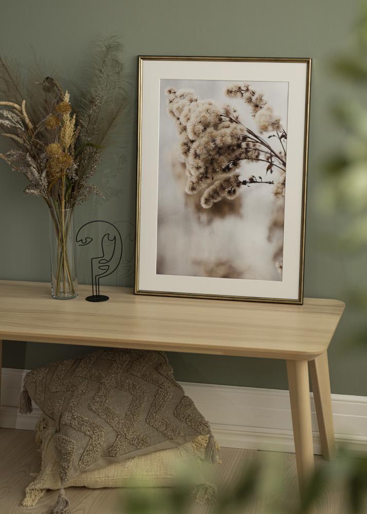 Rahmen Horndal Acrylglas Gold 29,7x42 cm (A3)