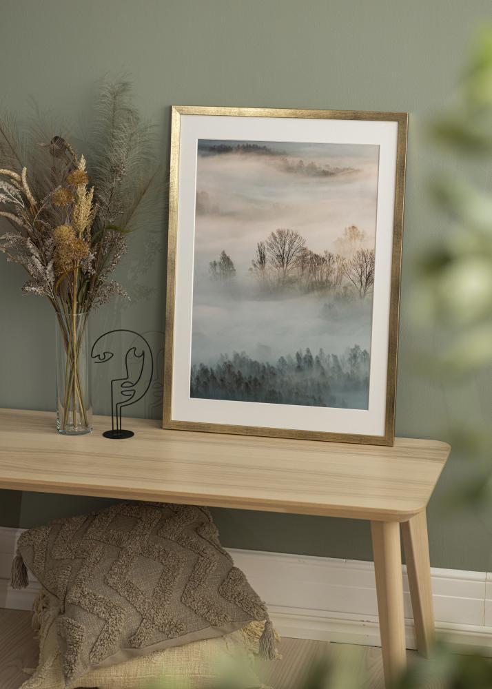 Rahmen Stilren Acrylglas Gold 50x70 cm