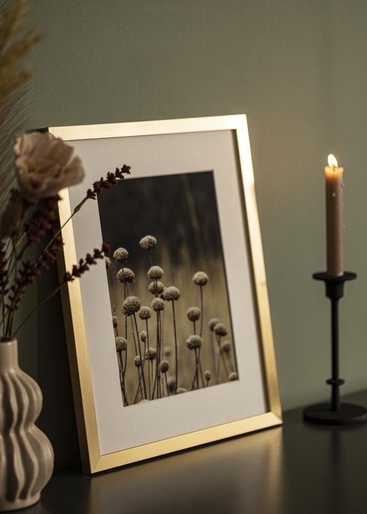 Rahmen Selection Acrylglas Gold 30x40 cm