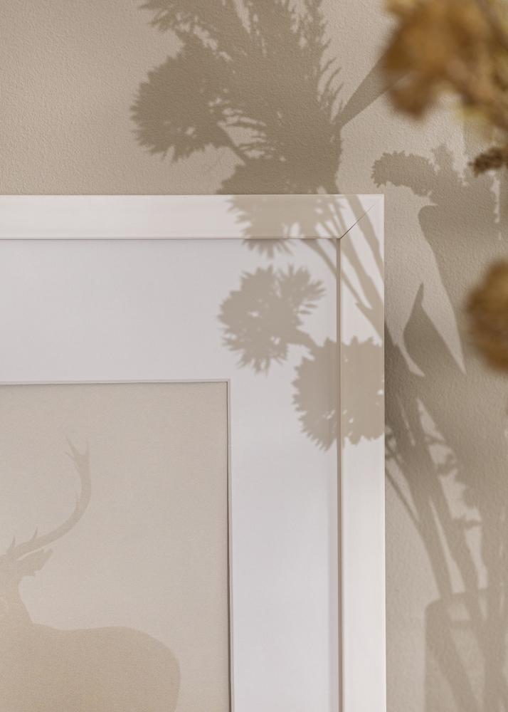 Rahmen Stilren Acrylglas Weiß 30x91 cm