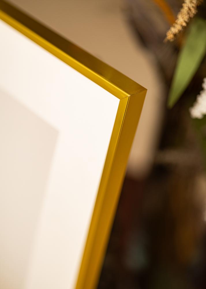 Aluminiumrahmen Acrylglas Gold 30x40 cm