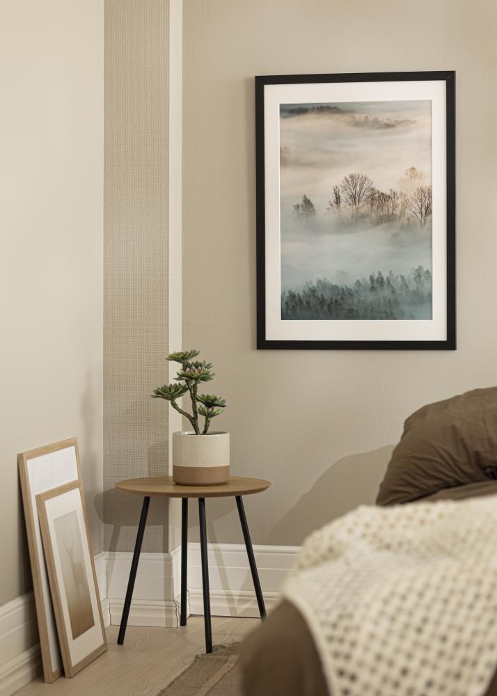 Rahmen Trendline Acrylglas Schwarz 30x50 cm