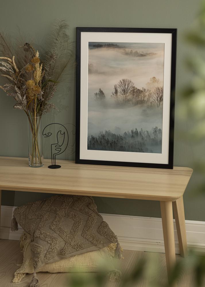 Rahmen Trendline Acrylglas Schwarz 30x50 cm