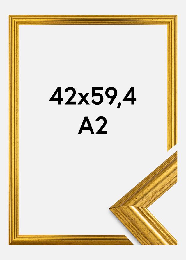 Rahmen Västkusten Acrylglas Gold 42x59,4 cm (A2)
