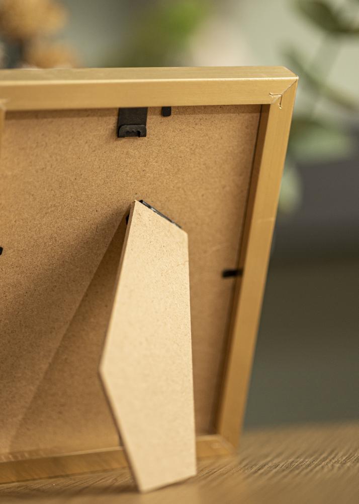 Rahmen Selection Acrylglas Gold 21x29,7 cm (A4)