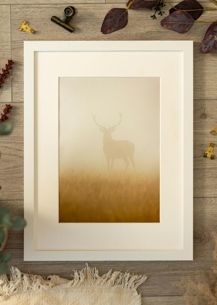 Rahmen BGA Classic Acrylglas Weiß 29,7x42 cm (A3)