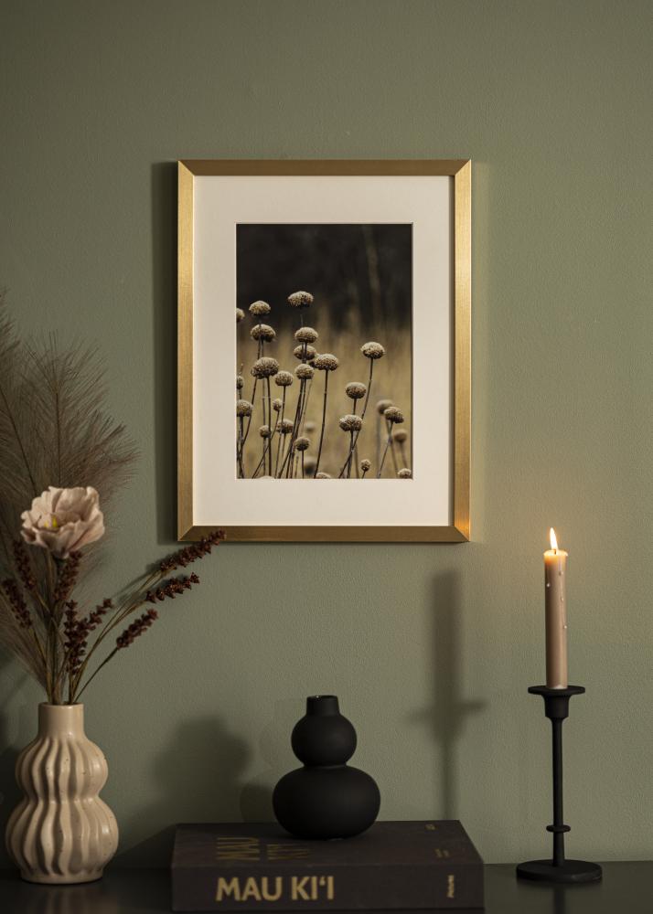 Rahmen Selection Acrylglas Gold 29,7x42 cm (A3)