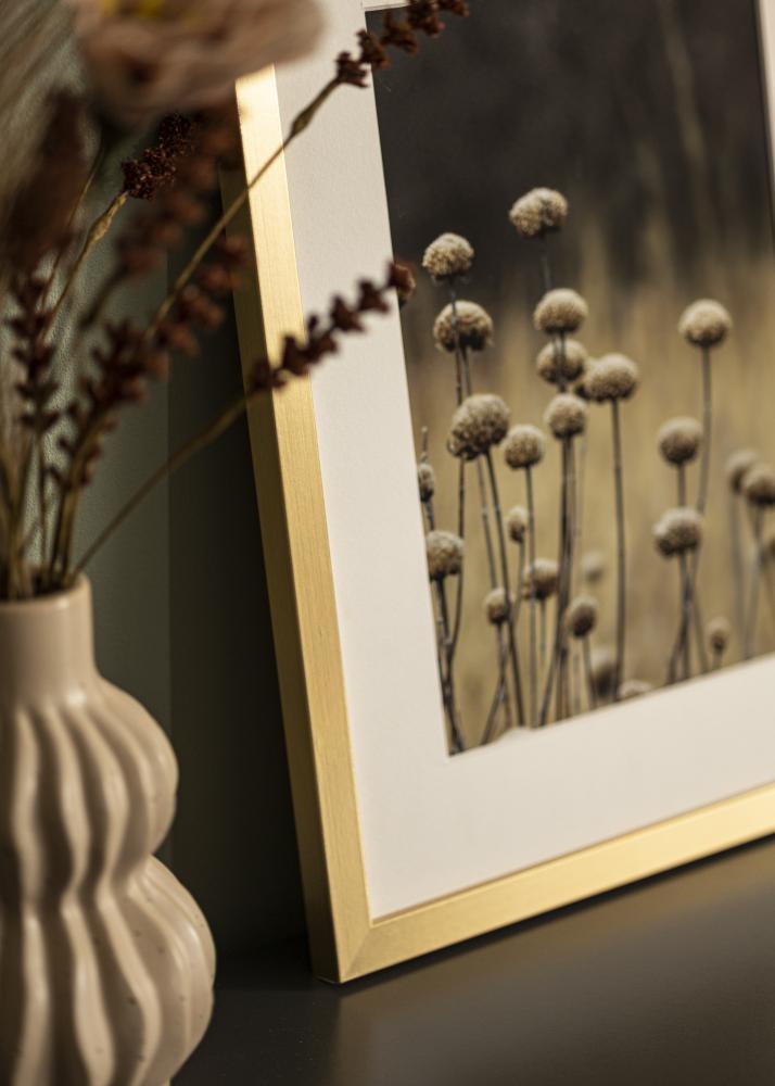 Rahmen Selection Acrylglas Gold 29,7x42 cm (A3)