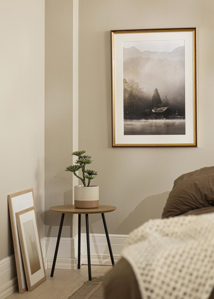 Rahmen Abisko Acrylglas Gold 10x15 cm