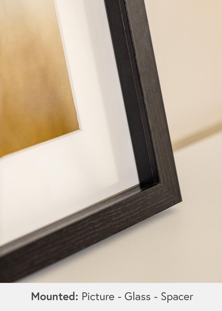 BGA Objektrahmen Acrylglas Schwarz 40x60 cm