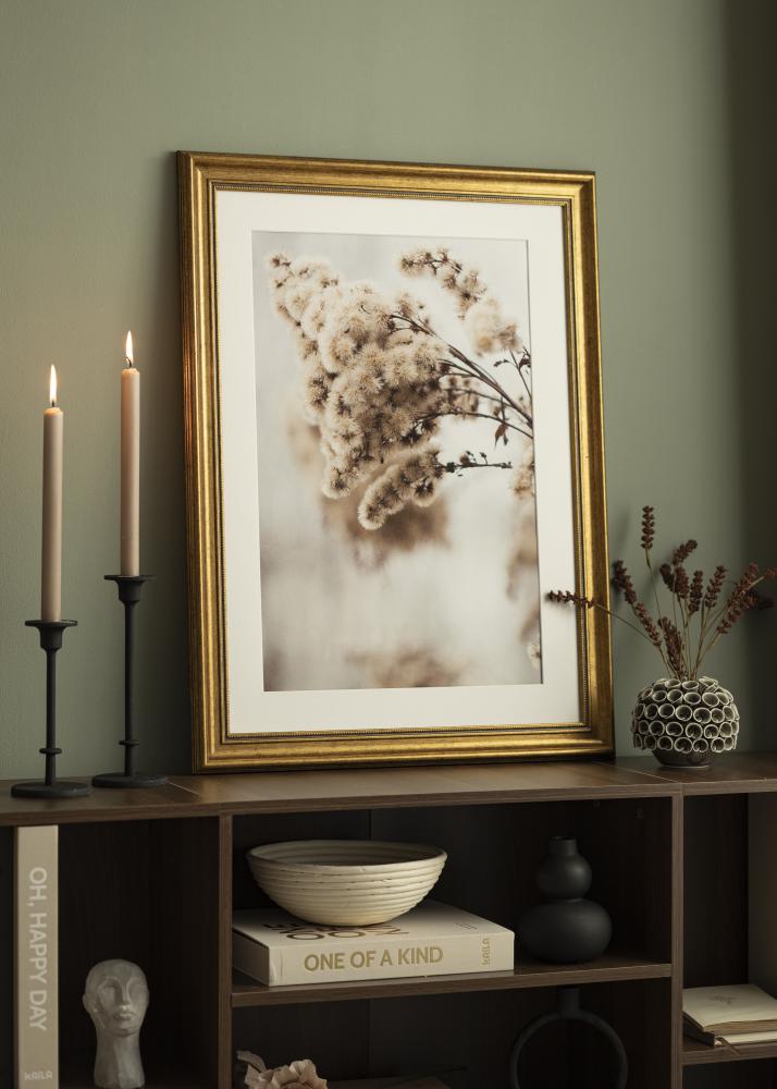 Rahmen Rokoko Acrylglas Gold 30x40 cm