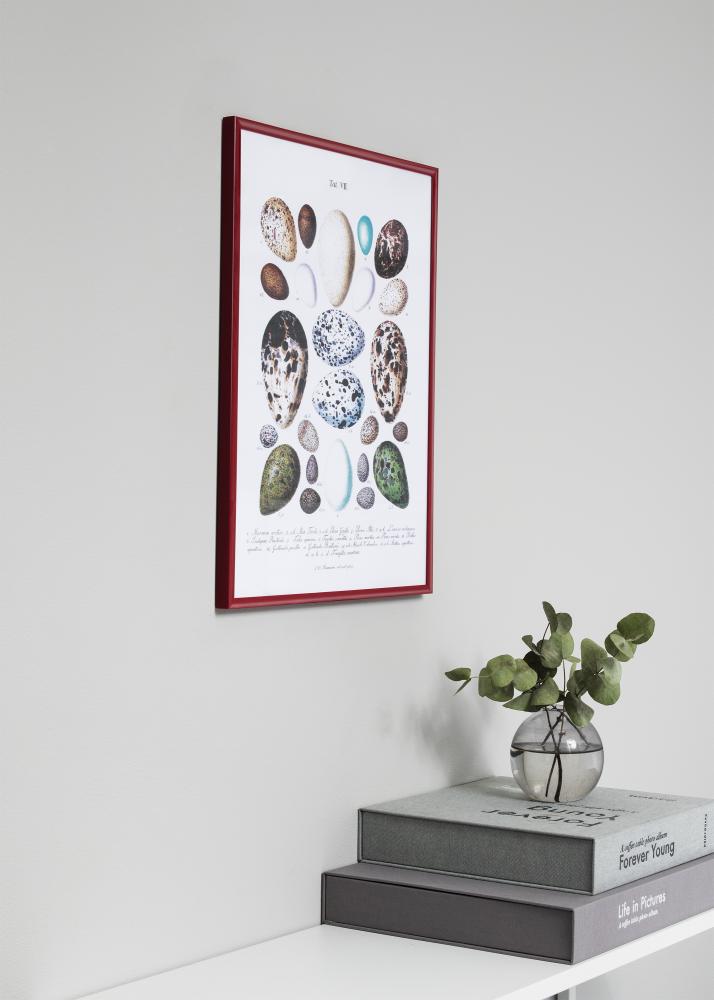 Rahmen New Lifestyle Rot 10x15 cm