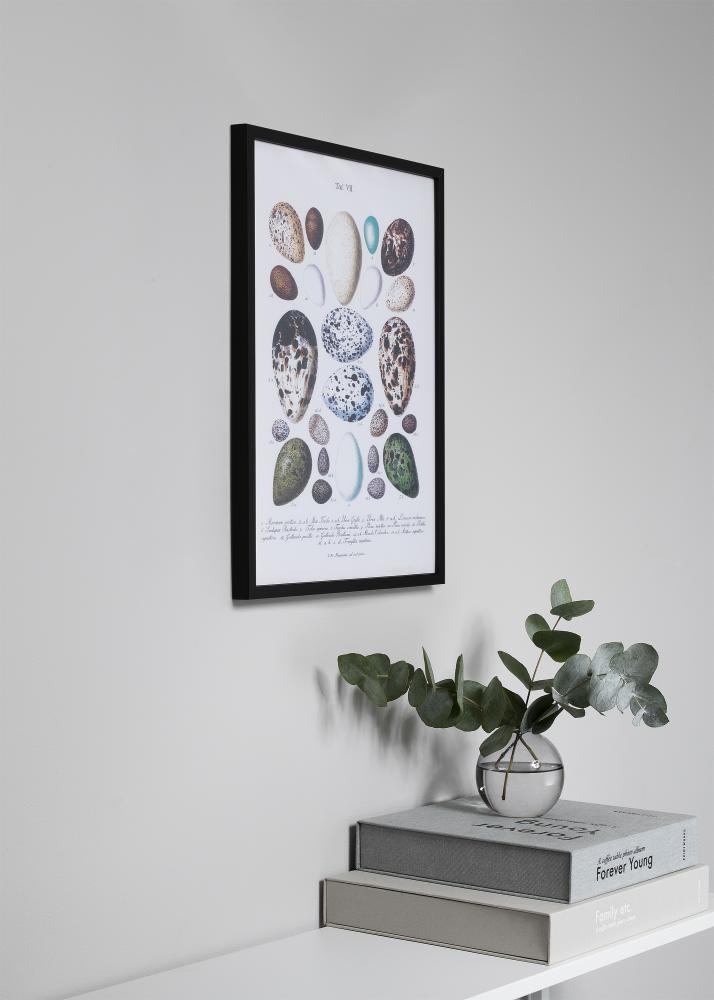 Rahmen Oslo Acrylglas Schwarz 40x50 cm