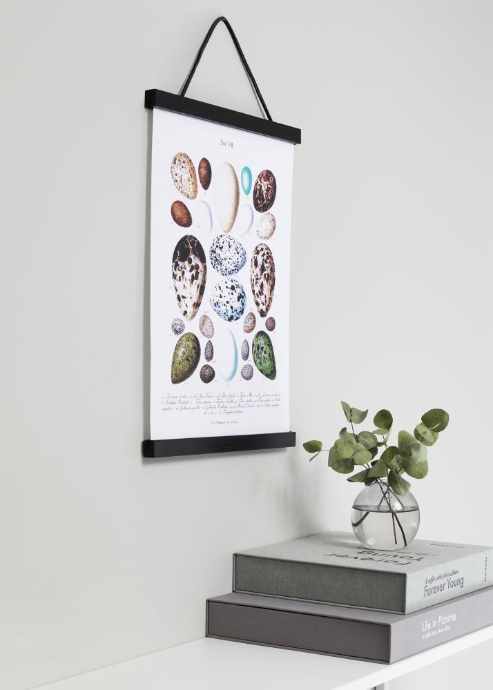 Posteraufhängung Schwarz - 61 cm