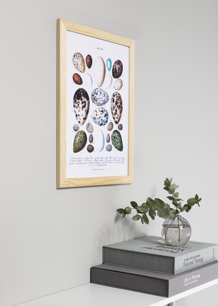 Rahmen Trendline Acrylglas Nature 50x70 cm