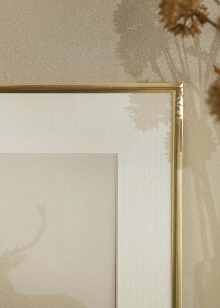 Rahmen New Lifestyle Acrylglas Shiny Gold 29,7x42 cm (A3)